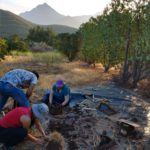 Curso-Bioconstruccion-Casa-Ocoa-diciembre-2018-Rodrigo-Blum-Cervilla-6