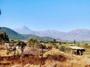 Curso-Bioconstrucción-febrero-2019-Casa-Ocoa-10