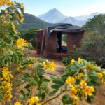 Voluntarios-Casa-Ocoa-diciembre-2018-3