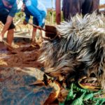 Taller-Introduccion-Bioconstruccion-Casa-Ocoa-octubre-2019-17